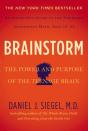 Brainstorm - Preview