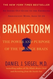 Capa do artigo Brainstorm