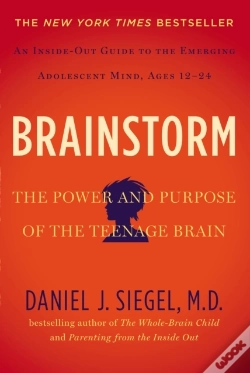 Capa do artigo Brainstorm