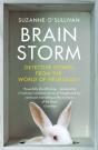 Brainstorm - Preview