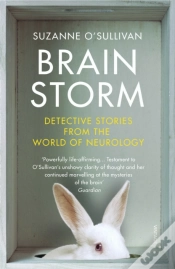 Capa do artigo Brainstorm
