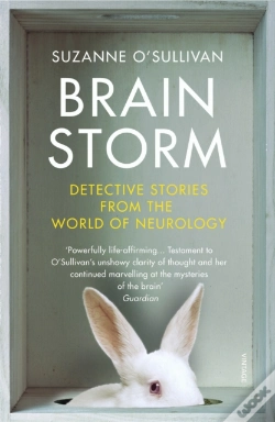 Capa do artigo Brainstorm
