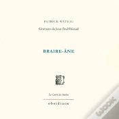 Capa do artigo Braire-Âne