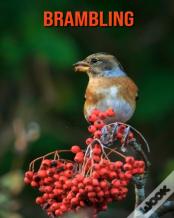 Brambling