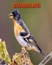 Capa do artigo Brambling