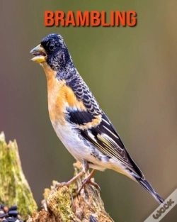 Capa do artigo Brambling