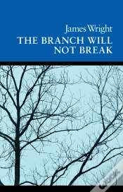 Capa do artigo Branch Will Not Break