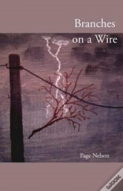 Capa do artigo Branches On A Wire