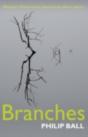 Branches - Preview
