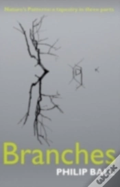 Capa do artigo Branches