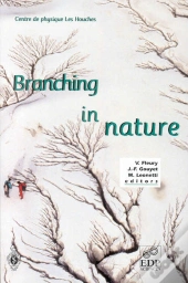 Branching In Nature ; Dynamics And Morphogenesis Of Branching Structures From Cell To River Networks