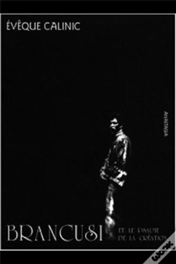 Capa do artigo Brancusi Et Le Psaume De La Création