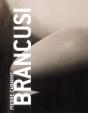 Brancusi Sm'Art - Preview