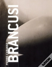 Capa do artigo Brancusi Sm