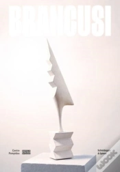 Capa do artigo Brancusi