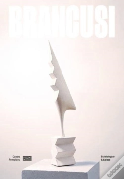 Capa do artigo Brancusi