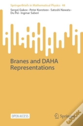 Branes And Daha Representations