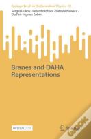 Branes And Daha Representations