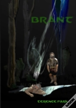 Capa do artigo Brant