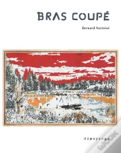 Capa do artigo Bras Coupé