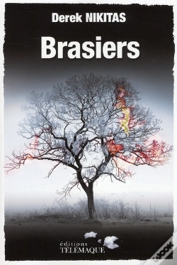 Capa do artigo Brasiers