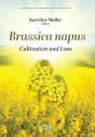 Brassica Napus: Cultivation And Uses - Preview
