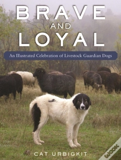 Capa do artigo Brave And Loyal
