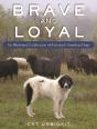 Brave And Loyal - Preview