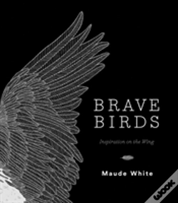 Capa do artigo Brave Birds