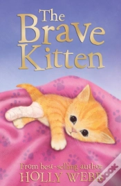 Capa do artigo Brave Kitten