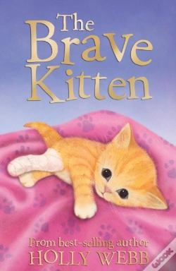 Capa do artigo Brave Kitten