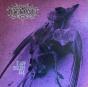 Brave Murder Day - Vinil - Preview