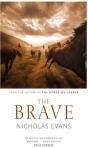 Brave - Preview