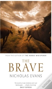 Capa do artigo Brave