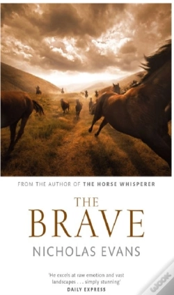 Capa do artigo Brave