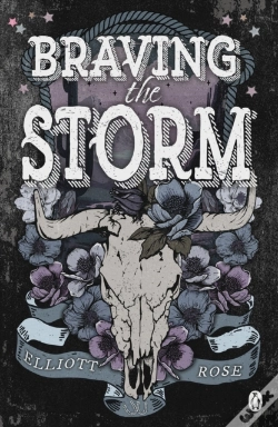 Capa do artigo Braving The Storm