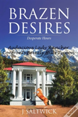 Capa do artigo Brazen Desires: Desperate Hours