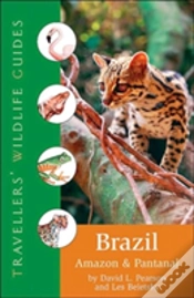 Capa do artigo Brazil