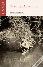 Capa do artigo Brazilian Adventure