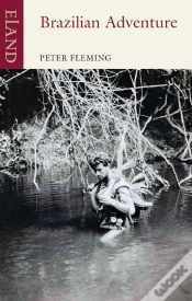 Capa do artigo Brazilian Adventure