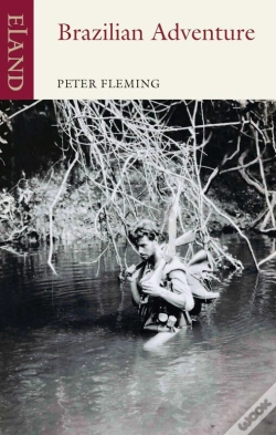 Capa do artigo Brazilian Adventure