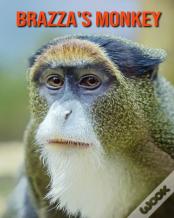 Brazza'S Monkey