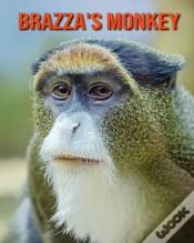Capa do artigo Brazza
