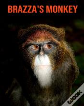 Brazza'S Monkey