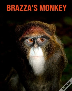Capa do artigo Brazza'S Monkey
