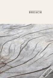 Capa do artigo Breach