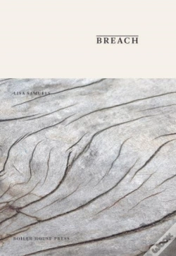 Capa do artigo Breach