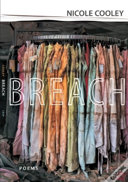 Capa do artigo Breach