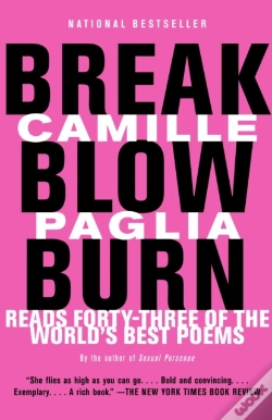 Capa do artigo Break, Blow, Burn