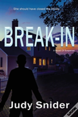 Capa do artigo Break-In